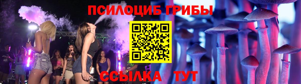 Псилоцибиновые грибы мицелий  Вход с VPN  Пенза  Псилоцибиновые грибы GOLDEN TEACHER 